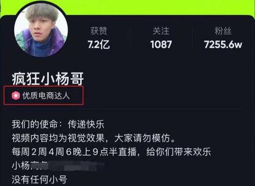 圈粉坚哥最新爆料新闻视频,最新爆料新闻视频深度解析